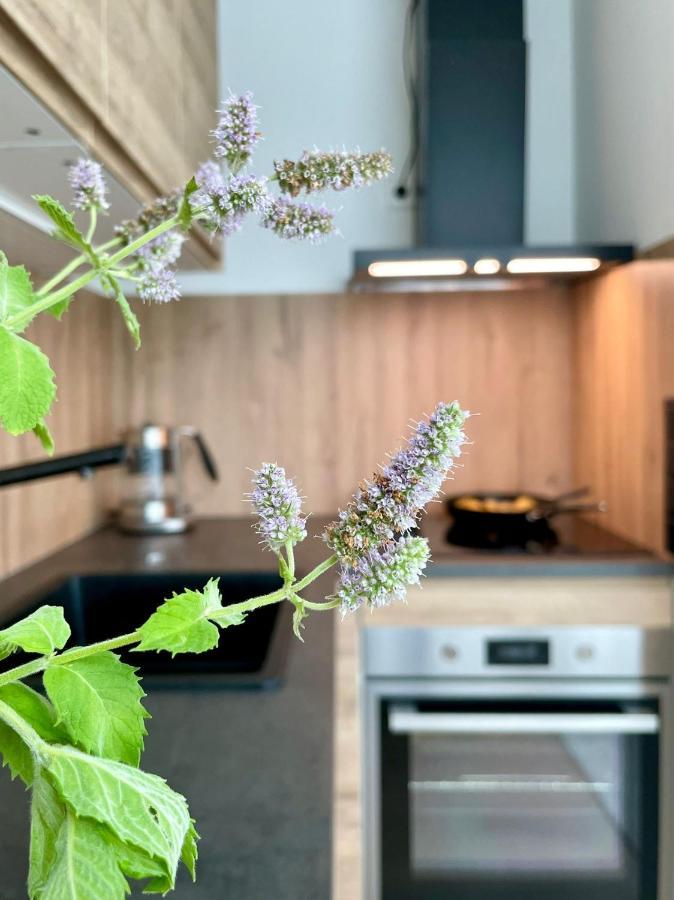 塔林Kalevi Panorama公寓 外观 照片
